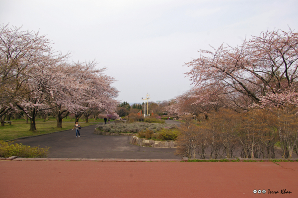 森町・オニウシ公園全景