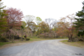 [北海道][有珠善光寺自然公園][花][桜]有珠善光寺自然公園・駐車場