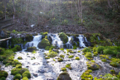 [北海道]京極町ふきだし公園の湧水 2010年5月