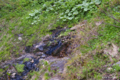 [北海道][大千軒岳]千軒清水