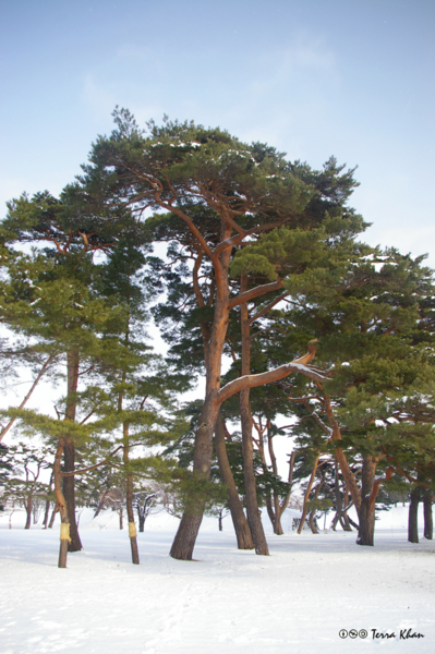 f:id:Terra-Khan:20101219113840j:image