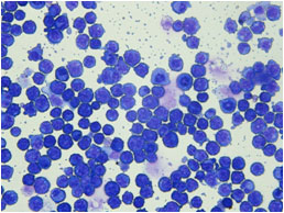 f:id:Terra-Khan:20110424022543j:image