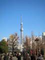 [東京][浅草]浅草寺境内から望む東京スカイツリー