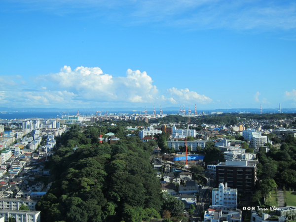 横浜マリンタワーから三浦半島を望む