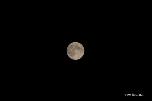 f:id:Terra-Khan:20121029220719j:image