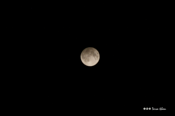 f:id:Terra-Khan:20121128234815j:image