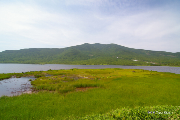 [北海道][知床]