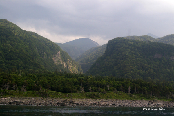 [北海道][知床]