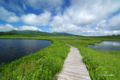 [北海道][雨竜沼湿原]