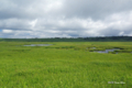 [北海道][雨竜沼湿原]