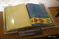 [国立科学博物館]
