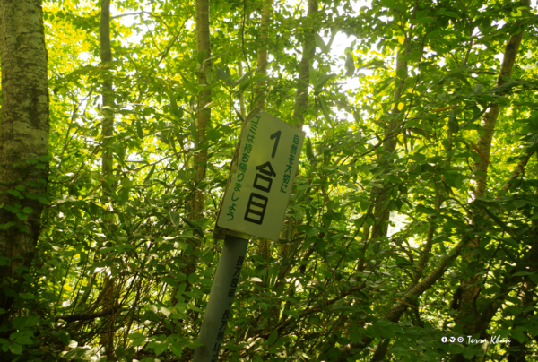 [北海道][長万部岳]