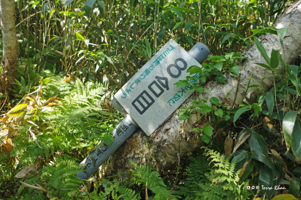 長万部岳登山道 8合目道標