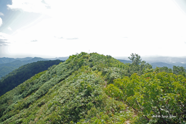 [北海道][長万部岳]