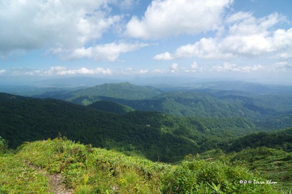 [北海道][長万部岳]