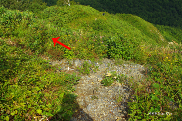 [北海道][長万部岳]