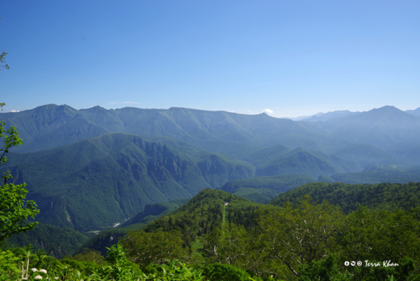 黒岳7合目付近から望む屏風山とニセイカウシュッペ山