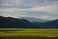 [岩手県][遠野]稲穂の向こうの早池峰山