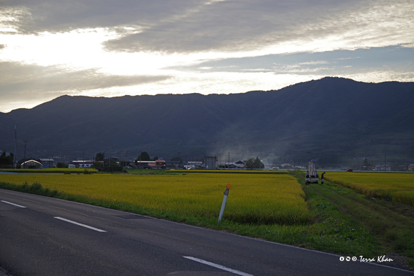 金色の野・空と息づく煙