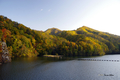 [北海道][紅葉・黄葉]