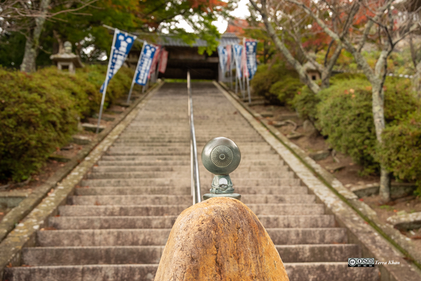 仁王門に至る階段前の目玉おやじ像