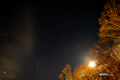 [星]