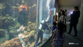 [鹿児島県][水族館]いおワールドかごしま水族館
