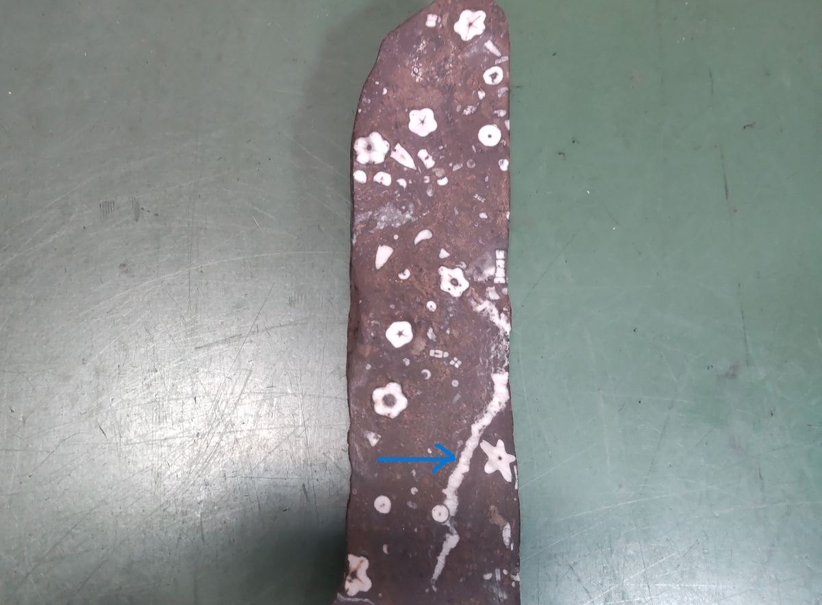 門司梅花石灰皿 門司梅花石灰皿