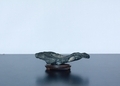 44　玄海真黒石　溜り石　W90×D40×H30ｍｍ