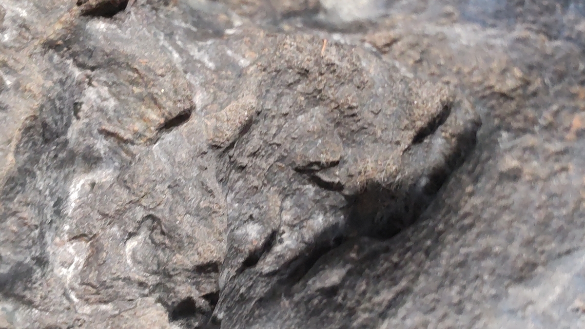 鑑賞石 真黒石 四万十川石 遠山石 鑑賞石 観賞石 銘石 水石 天然石