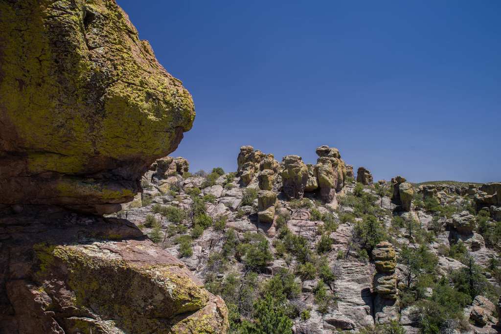 サワロ国立公園の巨大サボテンを撮る！- ニューメキシコ旅行 3日目後半