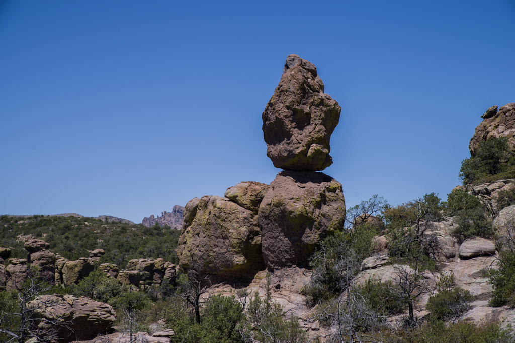 サワロ国立公園の巨大サボテンを撮る！- ニューメキシコ旅行 3日目後半