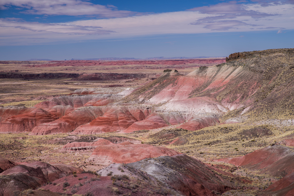 化石の森を撮る！- セドナ旅行 3日目 - - Outdoor Photography from USA