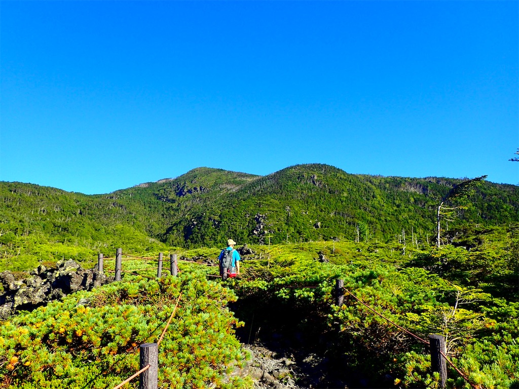 f:id:Tetsuta:20200831172618j:image f:id:Tetsuta:20200831172618j:image