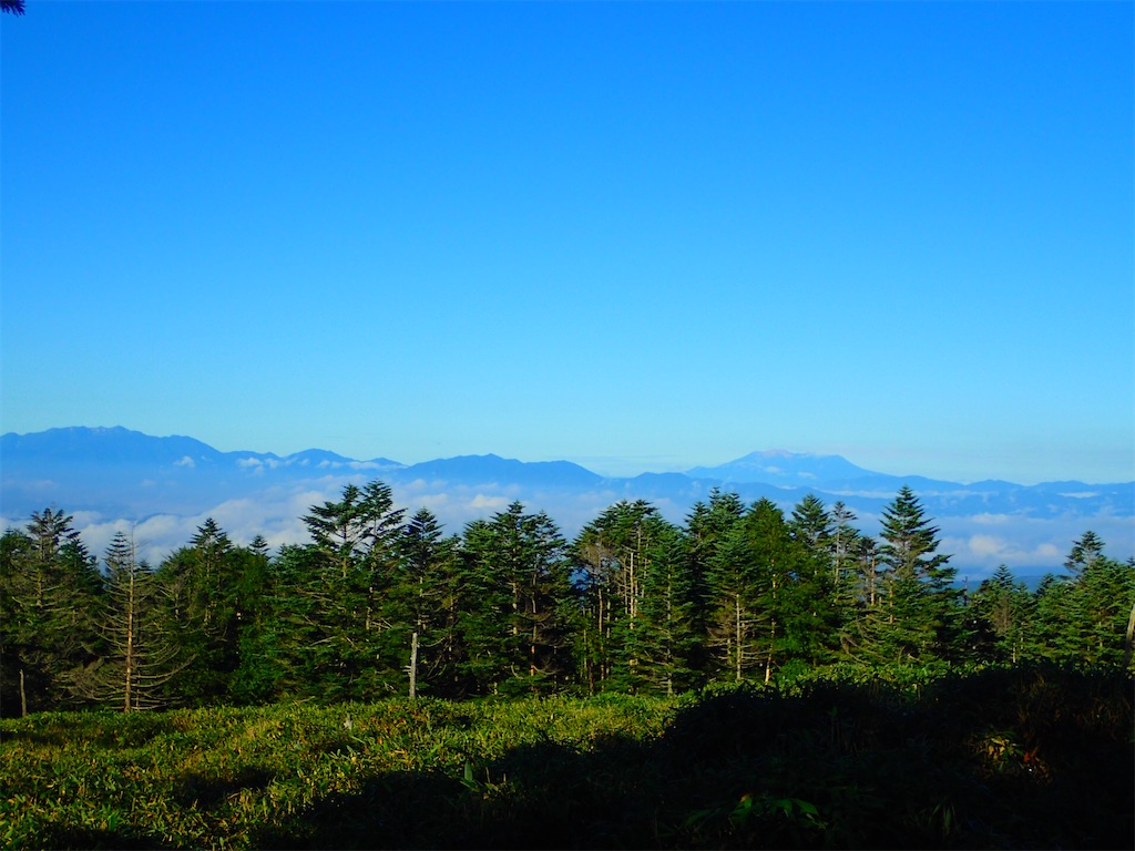 f:id:Tetsuta:20200831172621j:image f:id:Tetsuta:20200831172621j:image