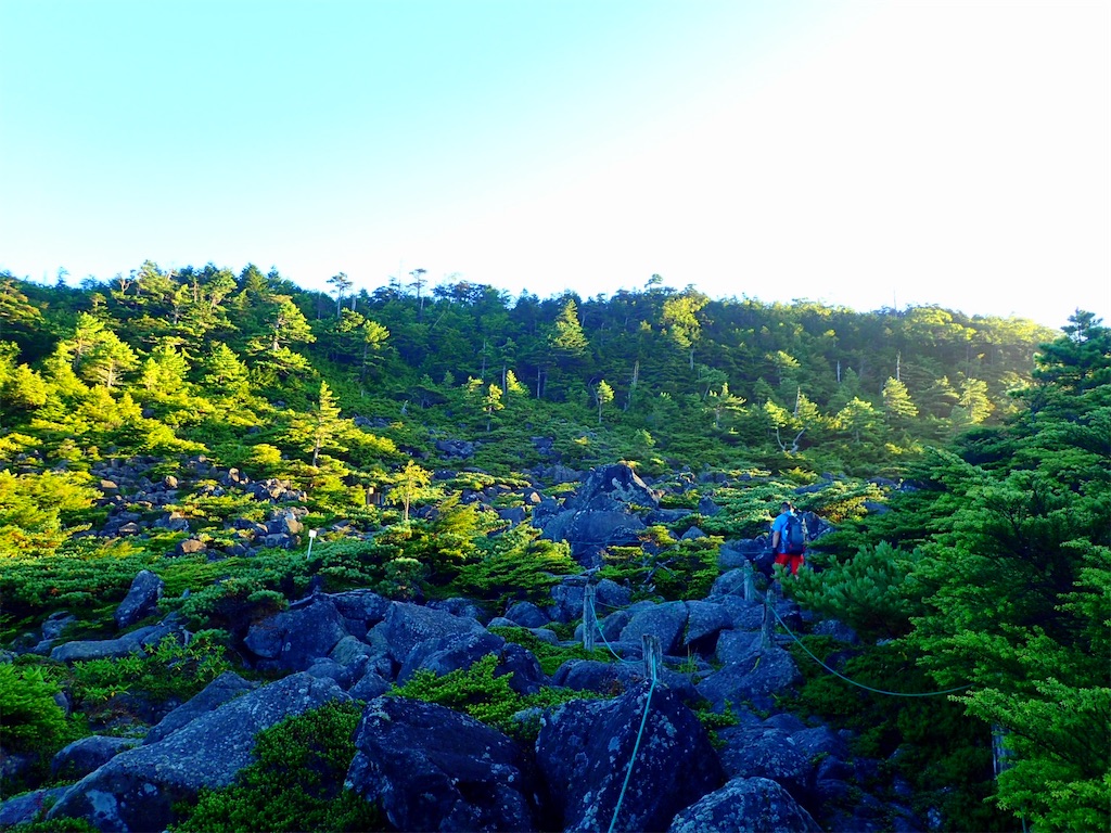 f:id:Tetsuta:20200831172649j:image f:id:Tetsuta:20200831172649j:image