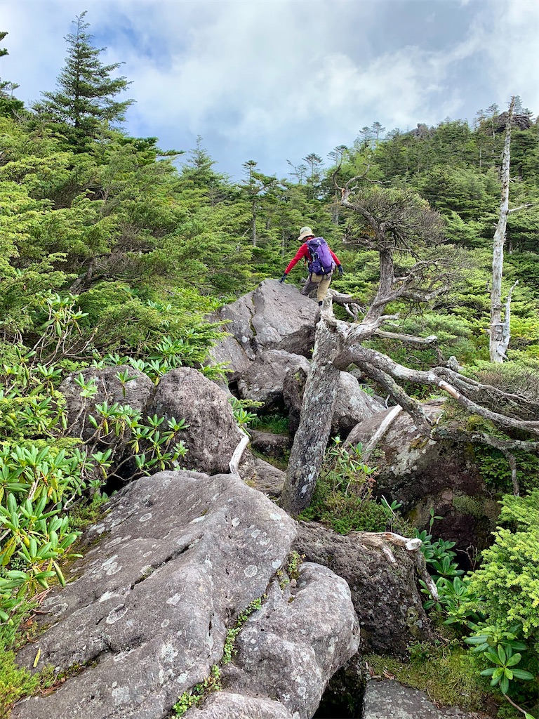 f:id:Tetsuta:20200831180048j:image f:id:Tetsuta:20200831180048j:image
