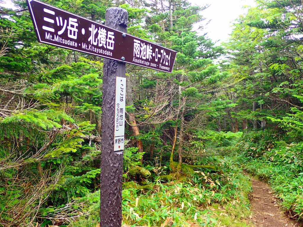 f:id:Tetsuta:20200831180057j:image f:id:Tetsuta:20200831180057j:image