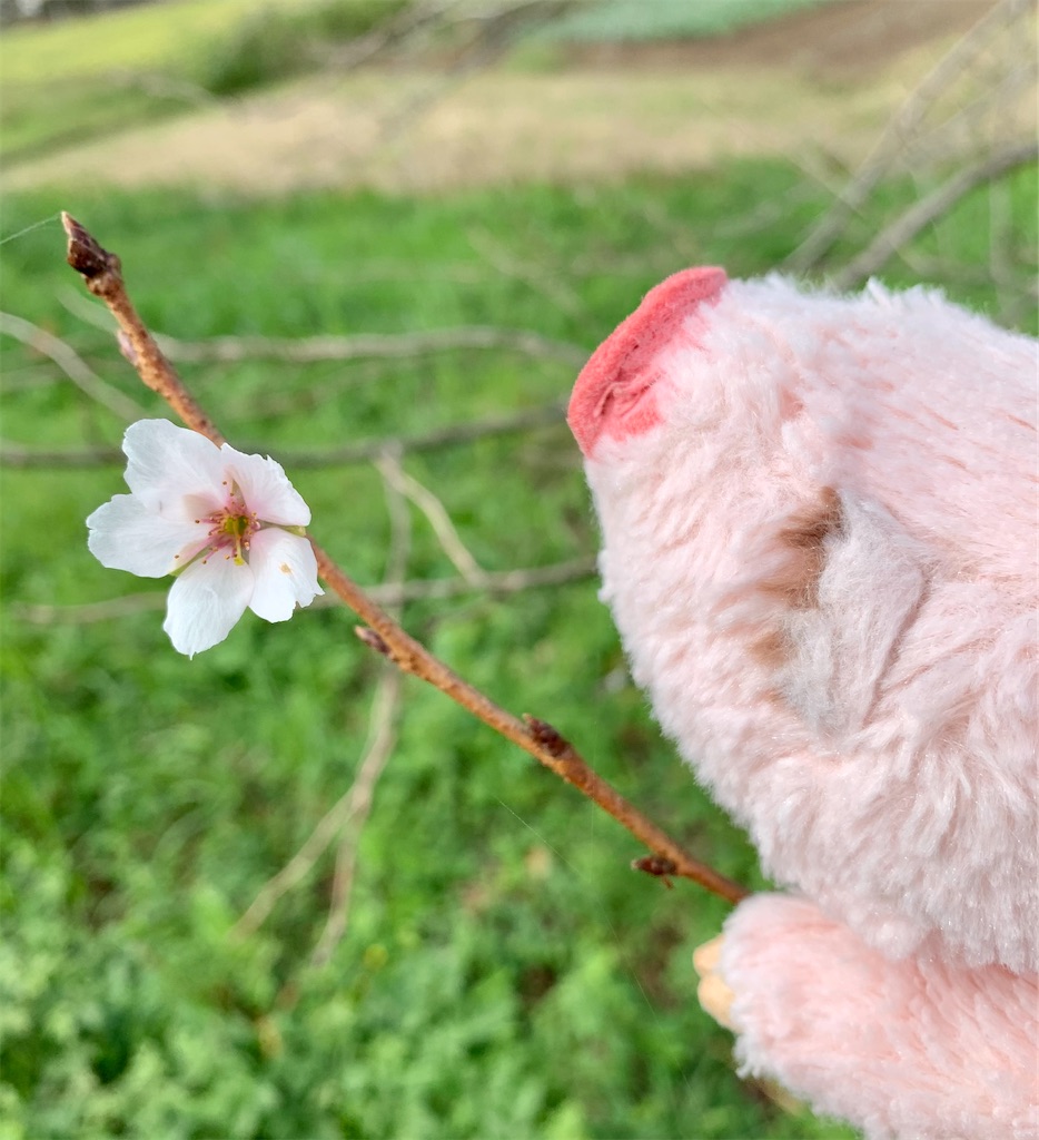 f:id:Tetsuta:20201011140524j:image f:id:Tetsuta:20201011140524j:image