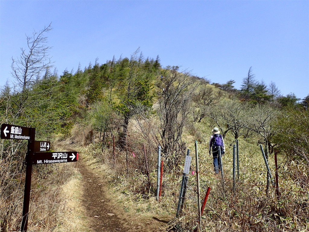 f:id:Tetsuta:20210506121816j:image f:id:Tetsuta:20210506121816j:image