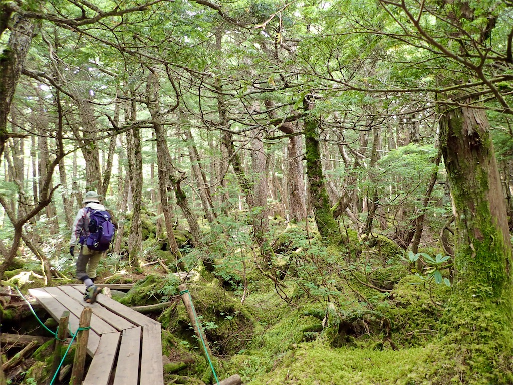 f:id:Tetsuta:20210902125517j:image f:id:Tetsuta:20210902125517j:image