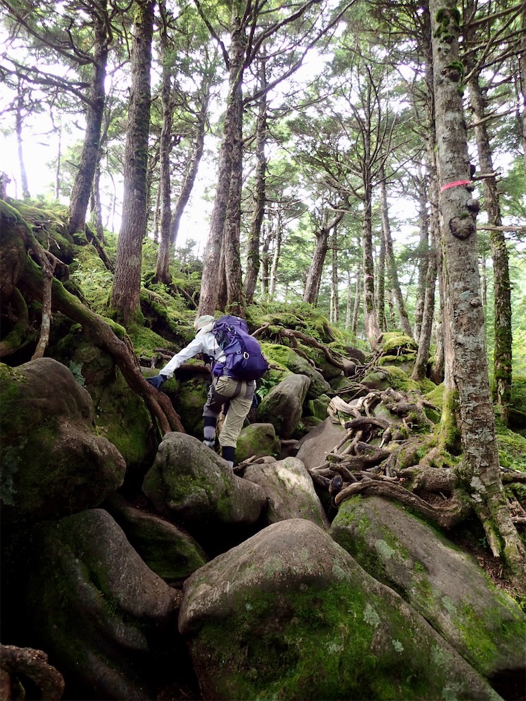 f:id:Tetsuta:20210902125615j:image f:id:Tetsuta:20210902125615j:image