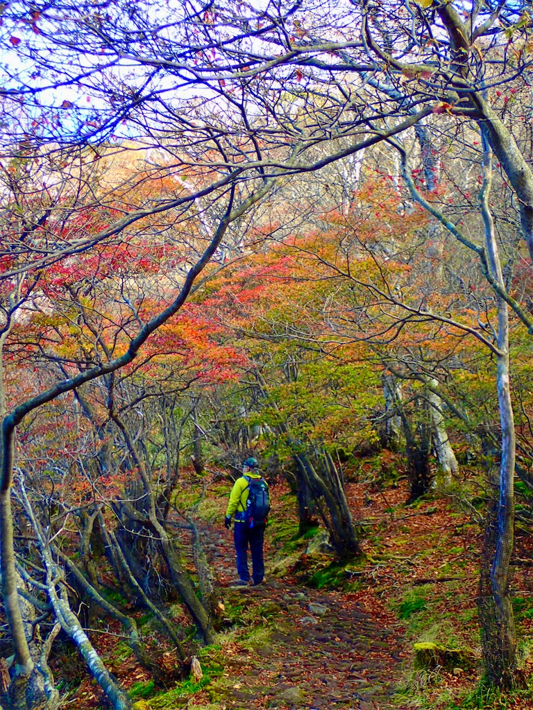 f:id:Tetsuta:20211025155422j:image f:id:Tetsuta:20211025155422j:image