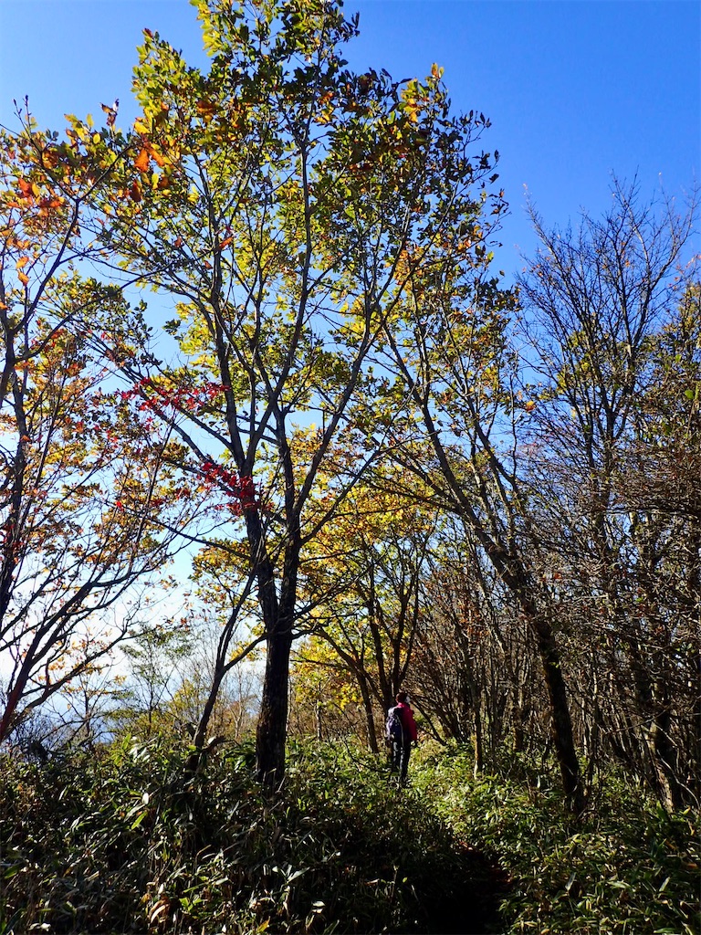 f:id:Tetsuta:20211025155425j:image f:id:Tetsuta:20211025155425j:image