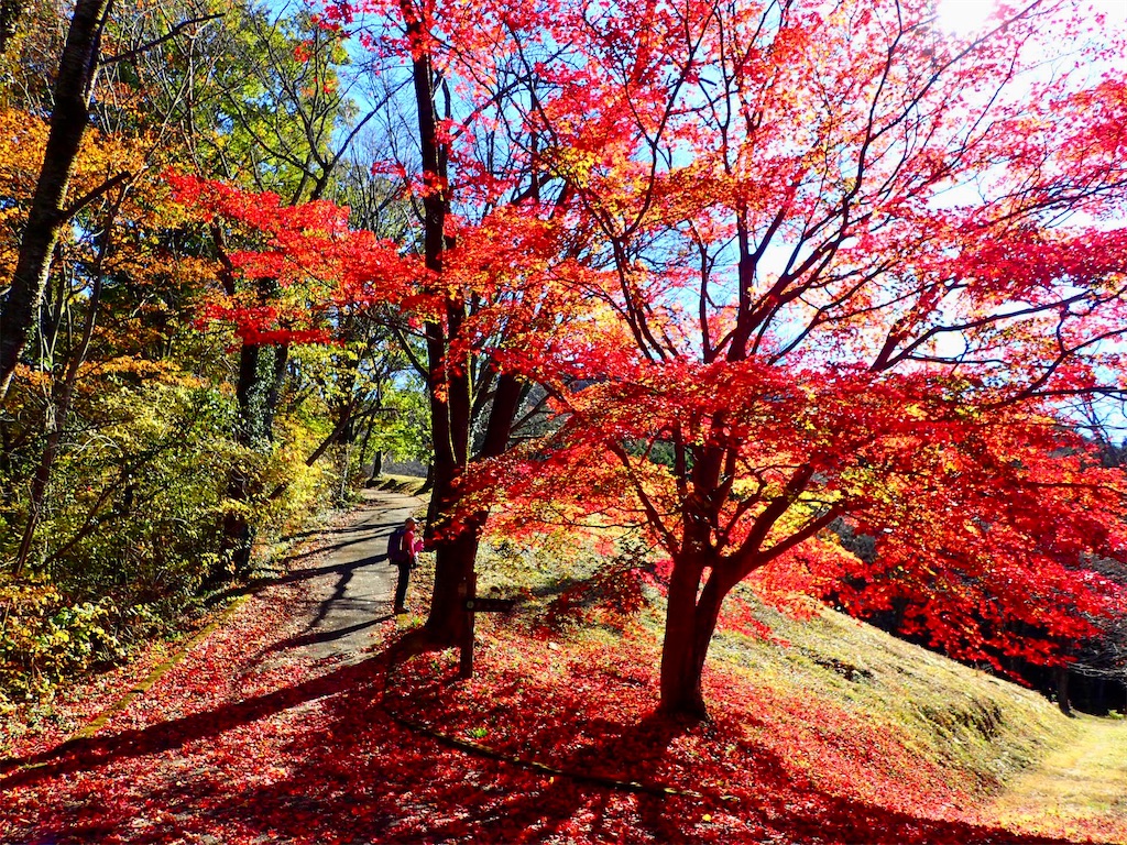 f:id:Tetsuta:20211231170958j:image f:id:Tetsuta:20211231170958j:image