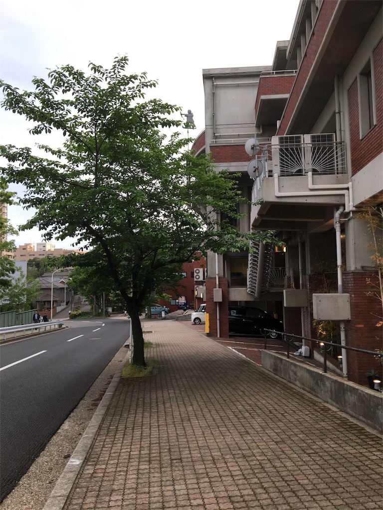 f:id:Tetsuya-kun:20170515220816j:image f:id:Tetsuya-kun:20170515220816j:image