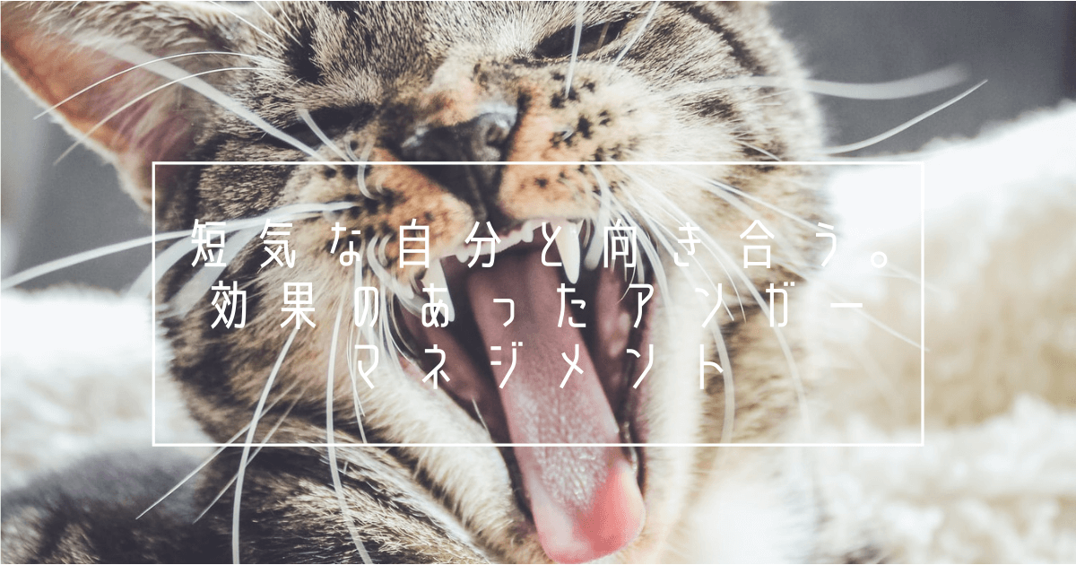 短気な自分と向き合う 効果のあったアンガーマネジメント こういう星の元に生まれたのかもしれない