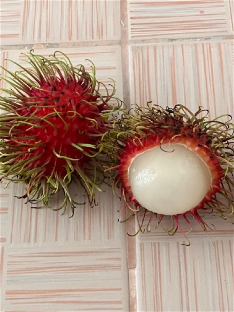 f:id:Thaisuki:20230410154907j:image f:id:Thaisuki:20230410154907j:image