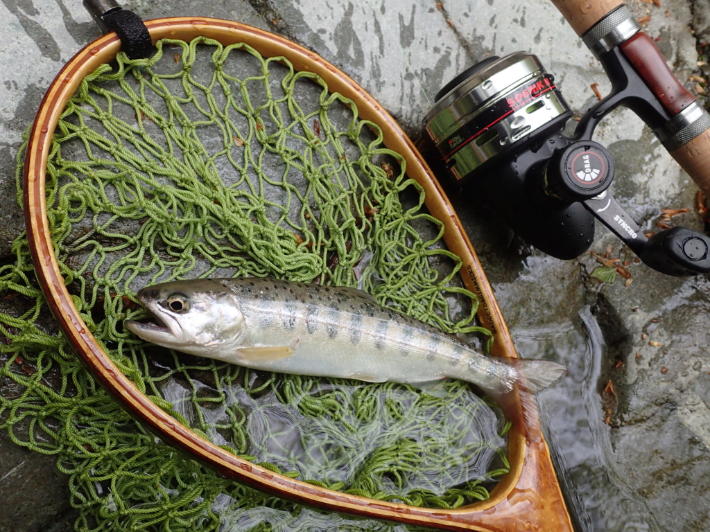 f:id:TheMaskingFace:20170520133514j:plain f:id:TheMaskingFace:20170520133514j:plain