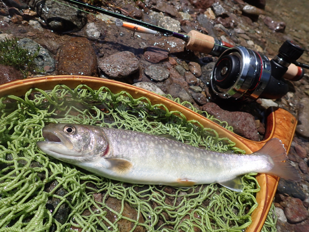 f:id:TheMaskingFace:20170520133550j:plain f:id:TheMaskingFace:20170520133550j:plain